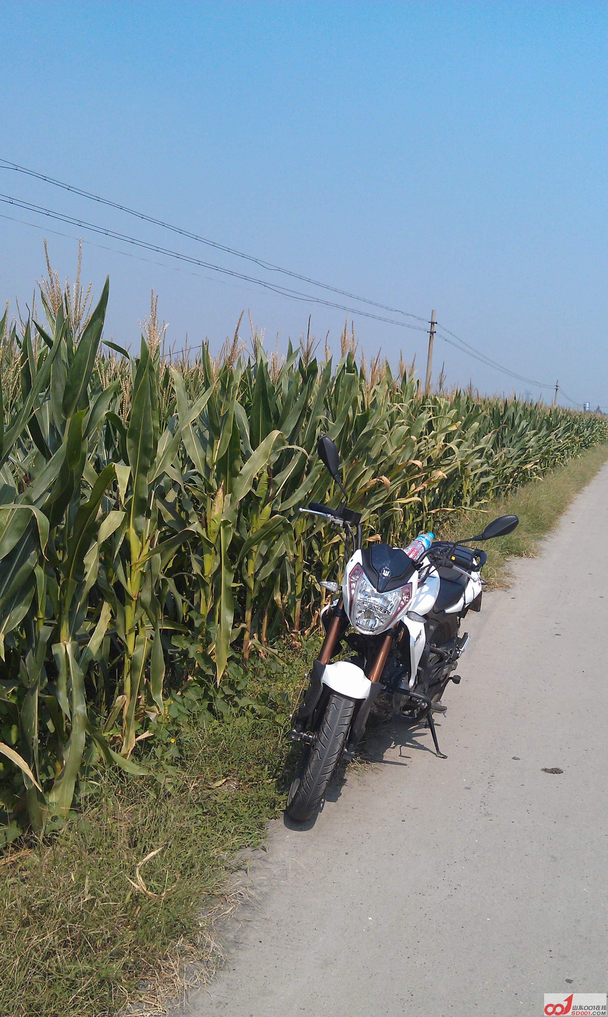 IMAG0375.jpg