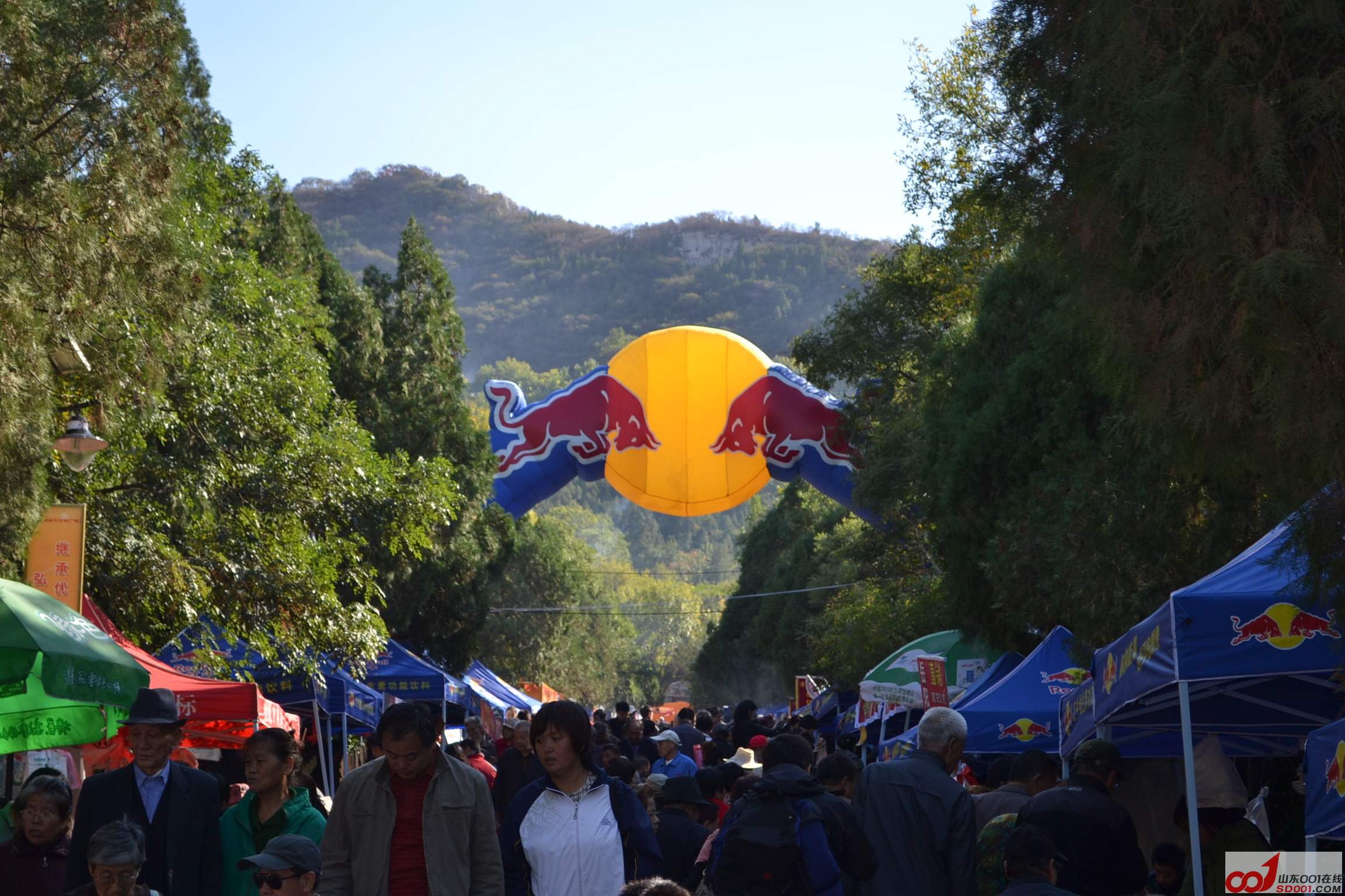 DSC_0016.JPG