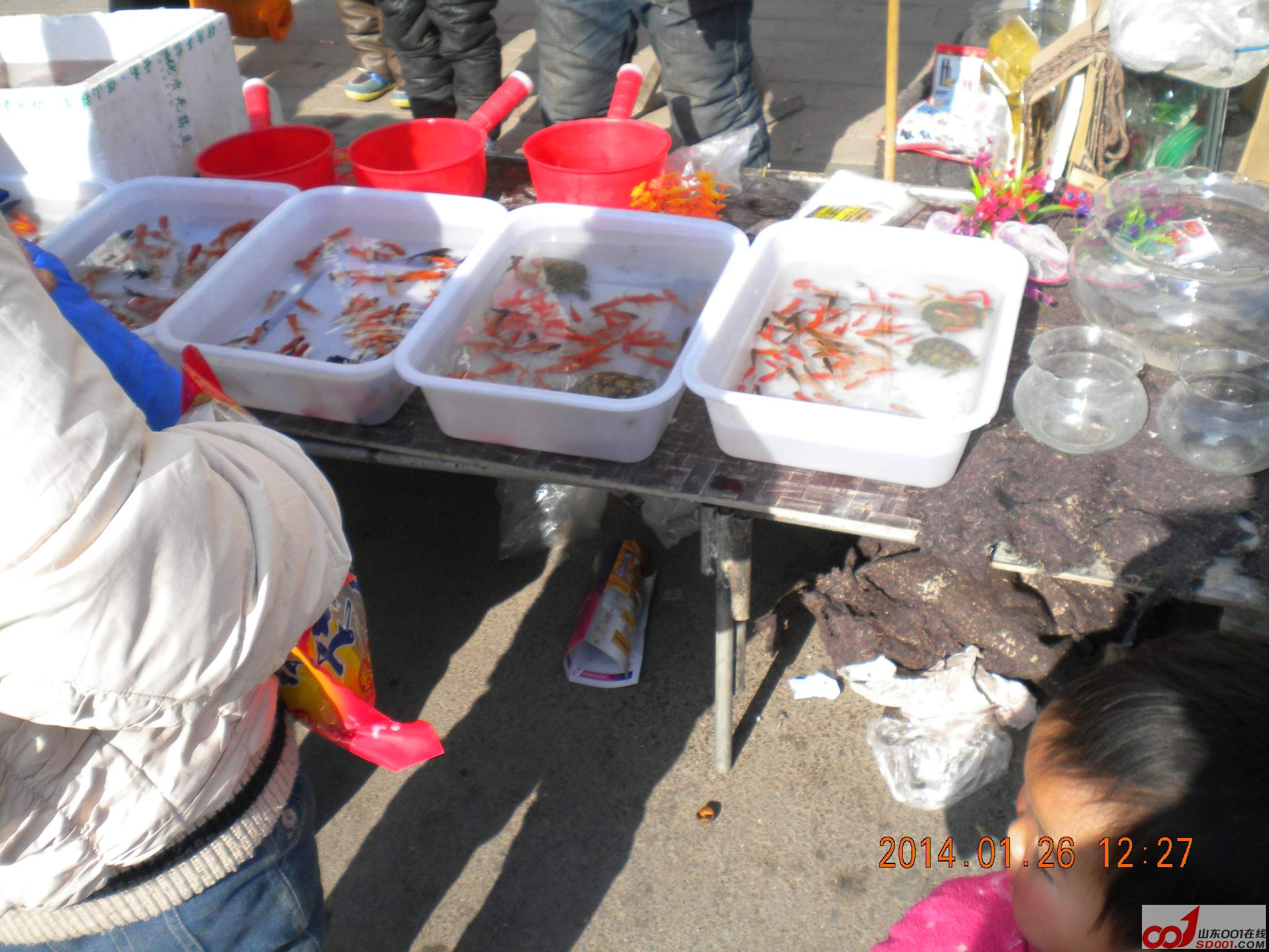 DSCN0800.JPG