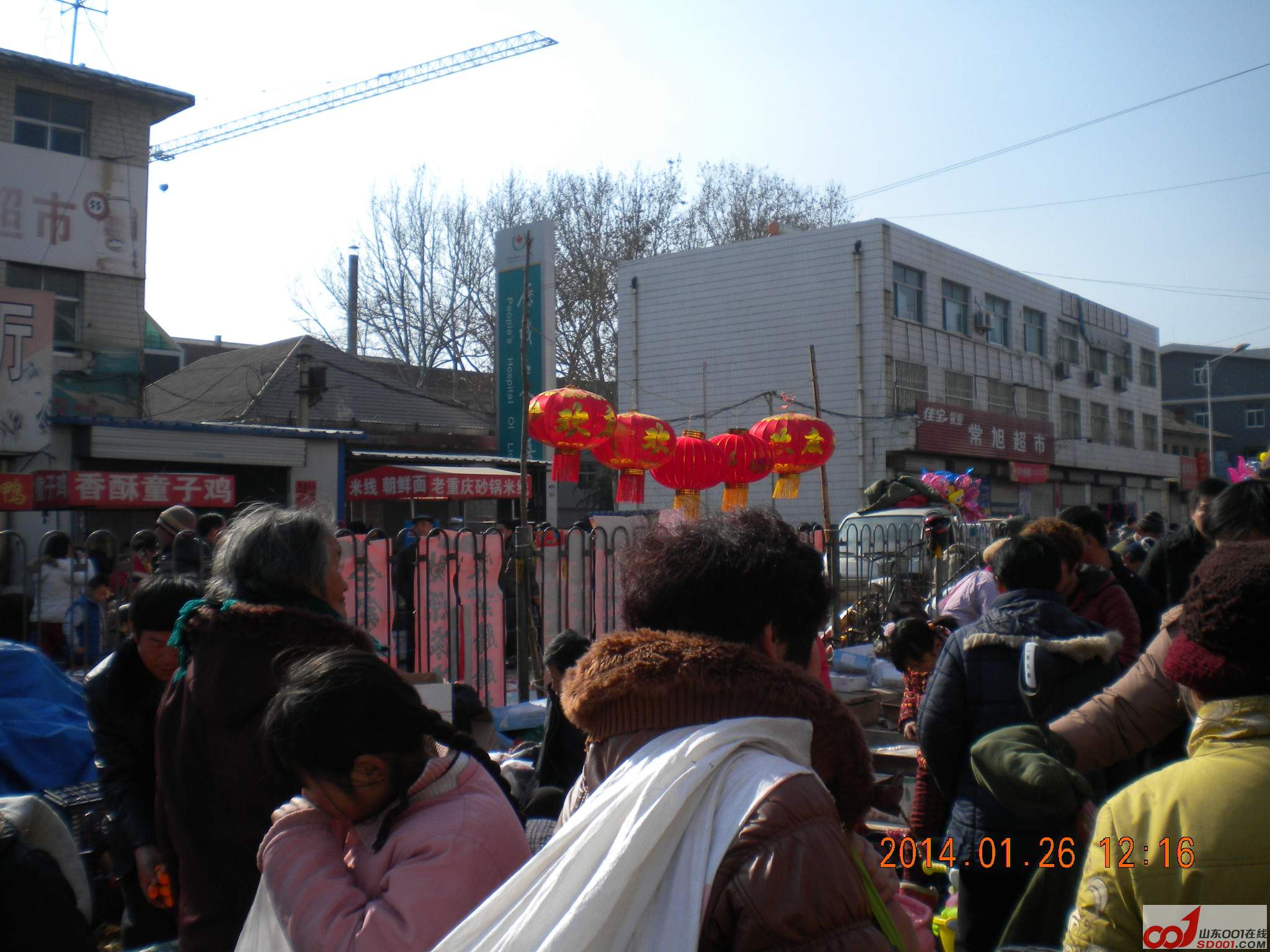 DSCN0785.JPG