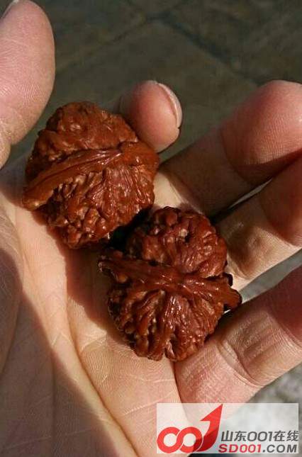 �̺������ɫ