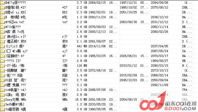USBC乱码修复,数据恢复-滨远数据恢复-济南-数