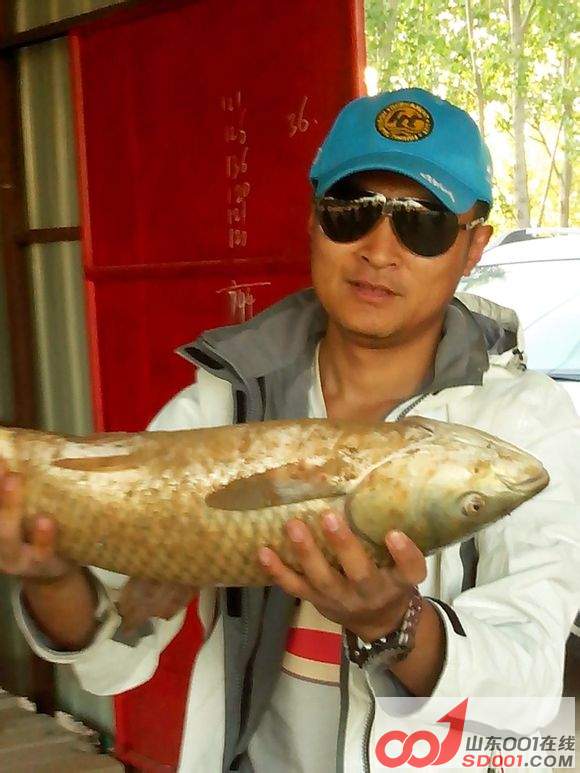 鱼4.jpg