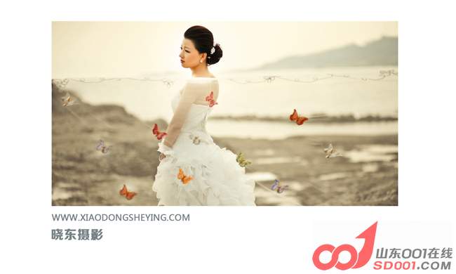 ����������Ӱ