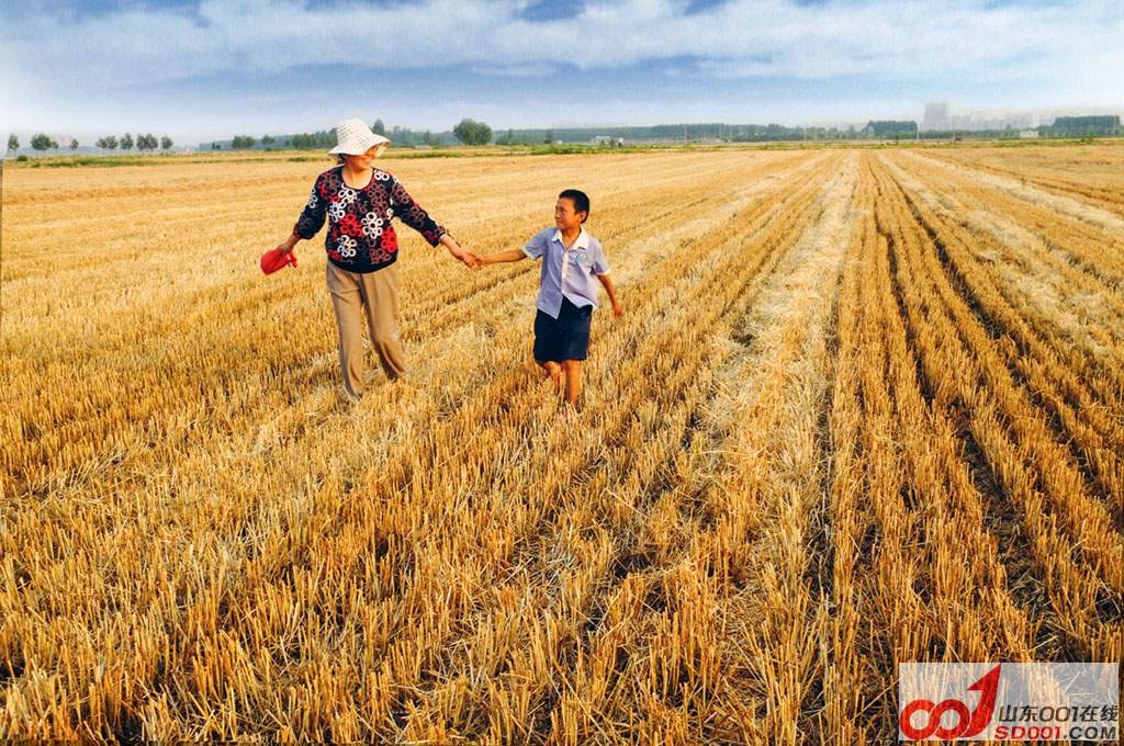 索尼A全画幅单反绝配牛头图丽24-40\/2.8原包装