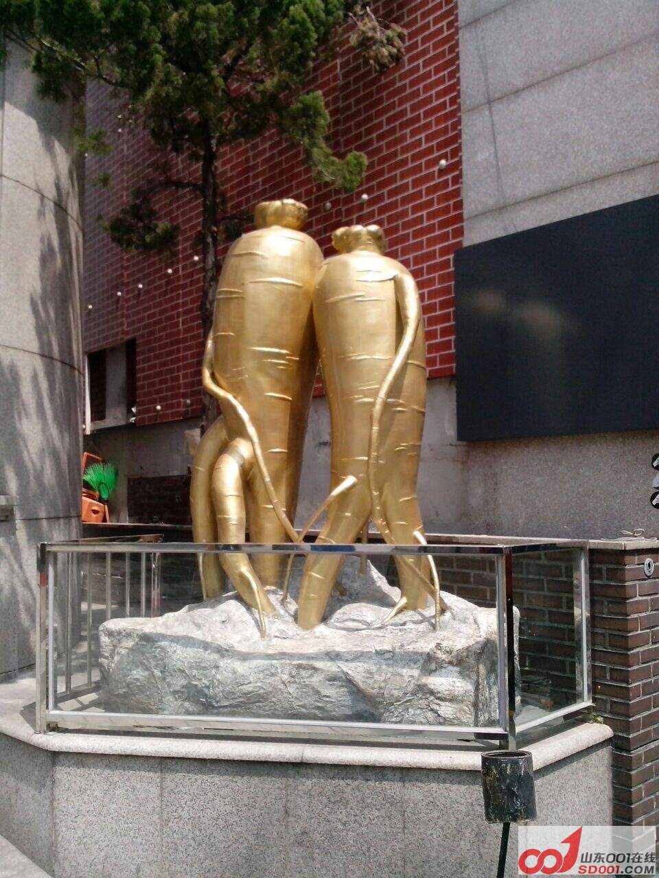 QQ图片20140529114501.jpg