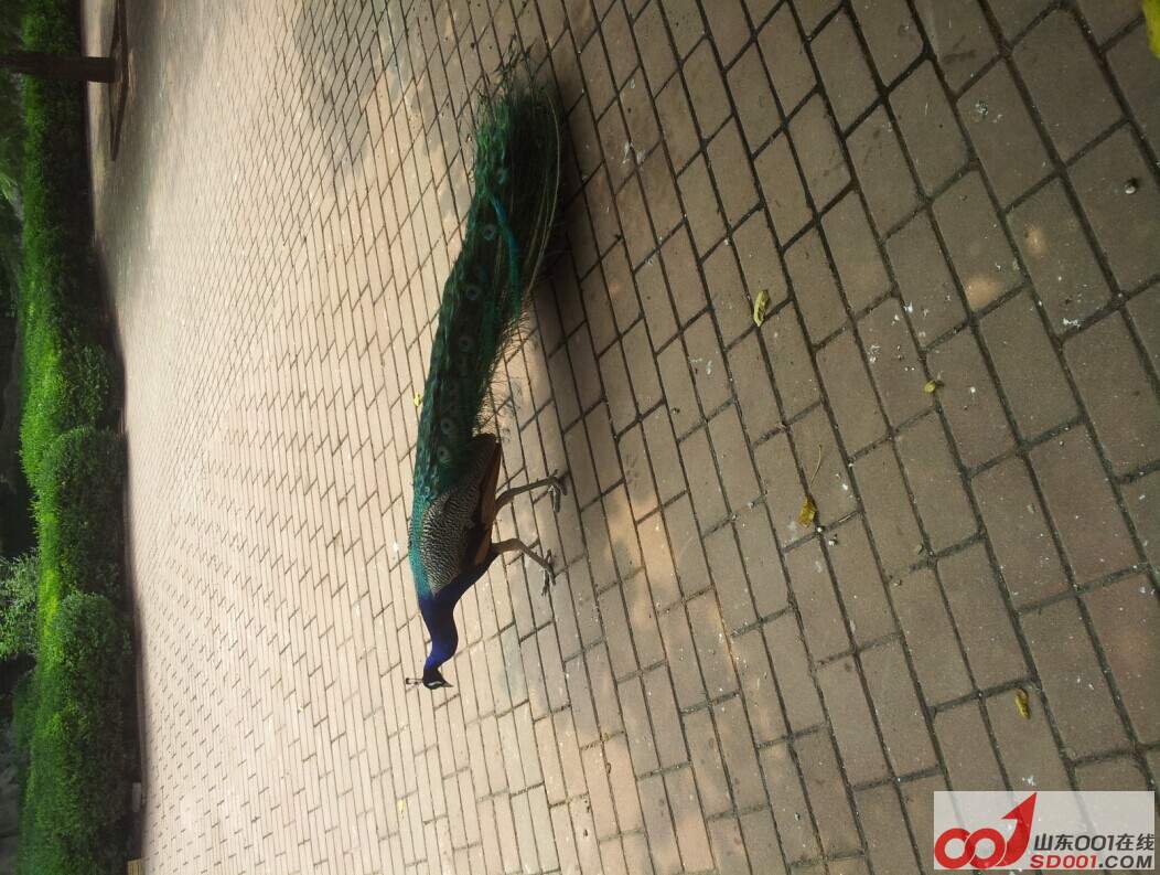 QQͼƬ20140709201018.jpg
