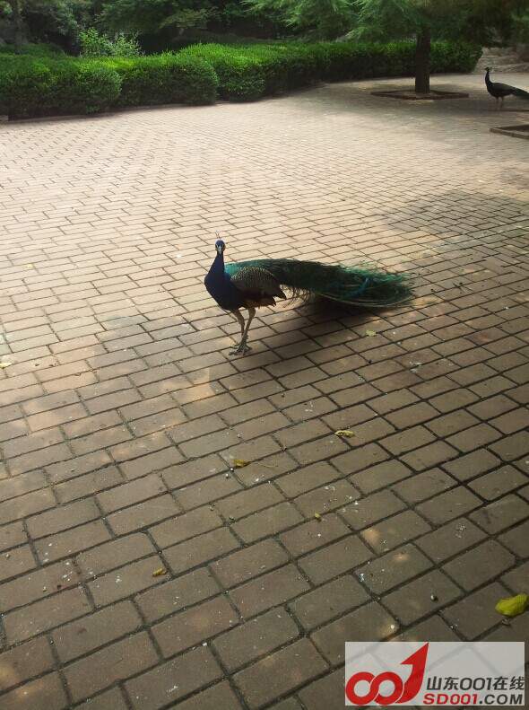 QQͼƬ20140709201000.jpg