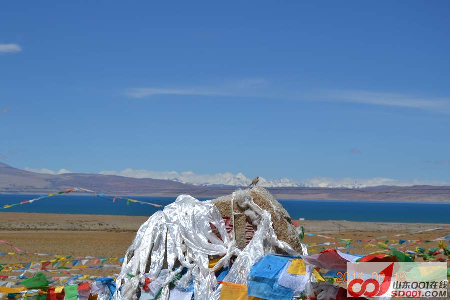 DSC_2027.JPG