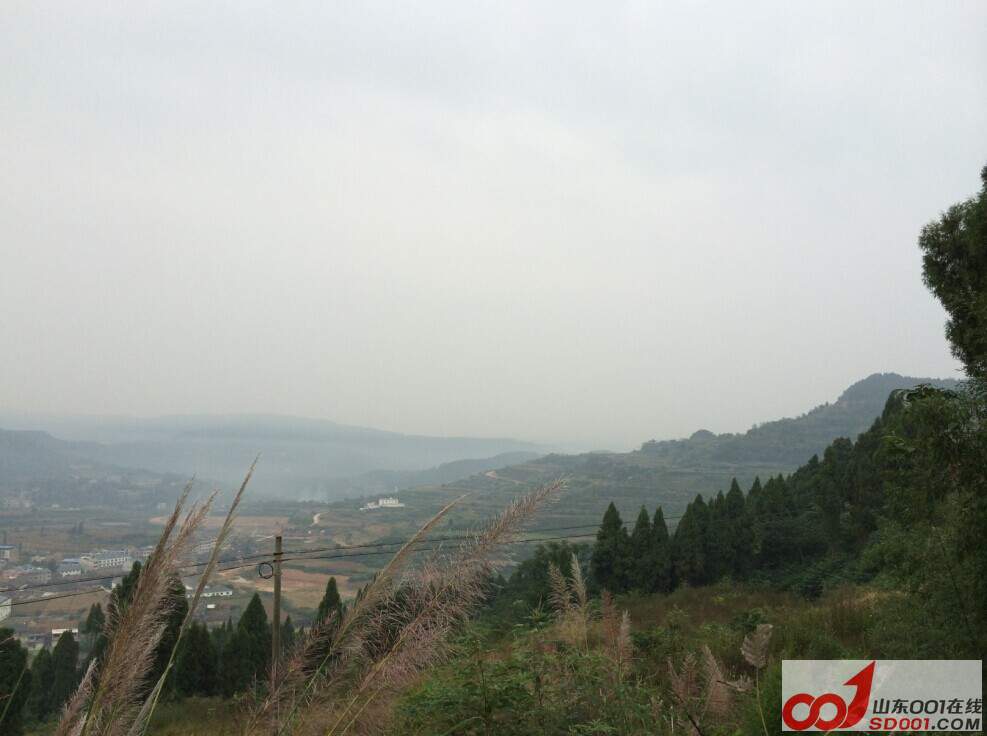 QQͼƬ20141022073300.jpg