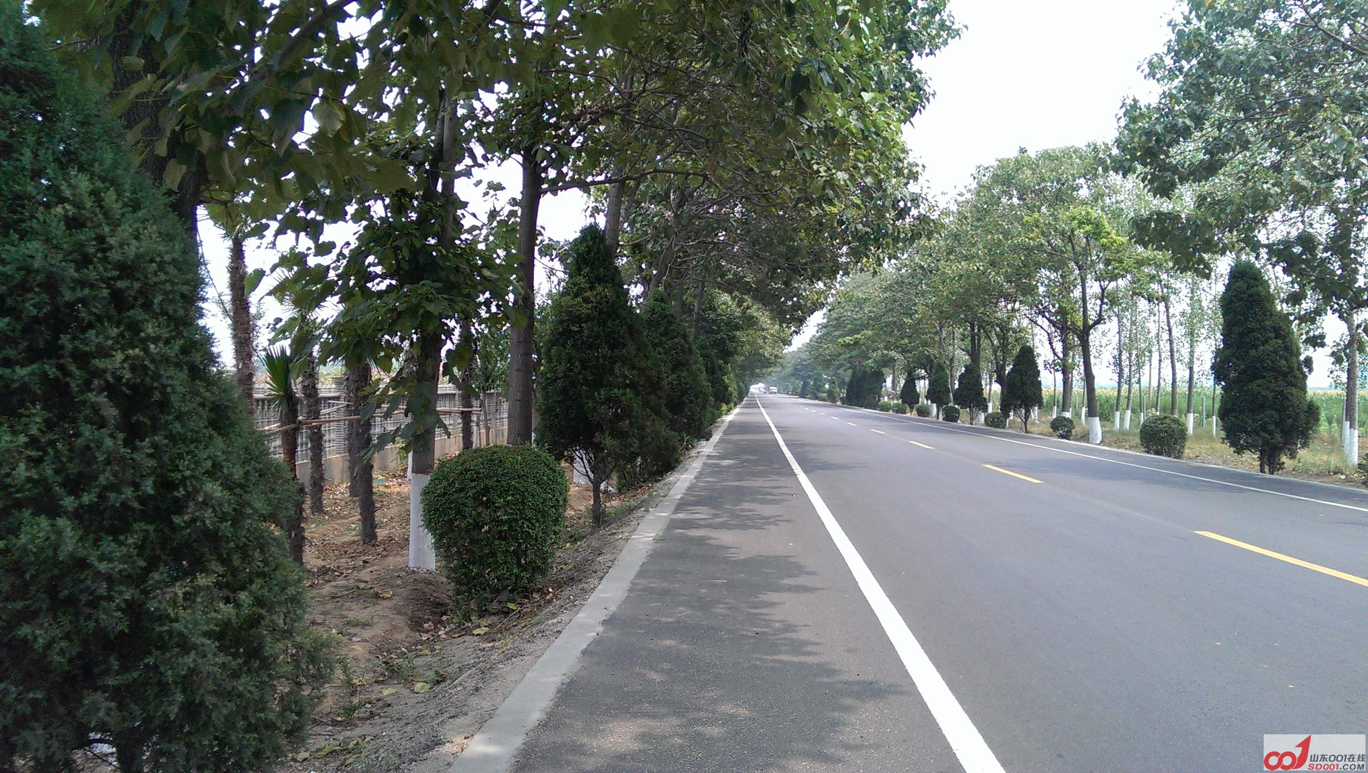 IMAG0638.jpg