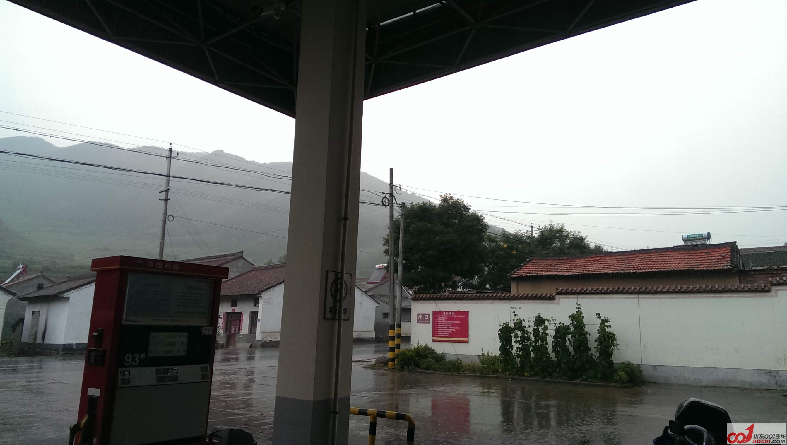 IMAG0659.jpg