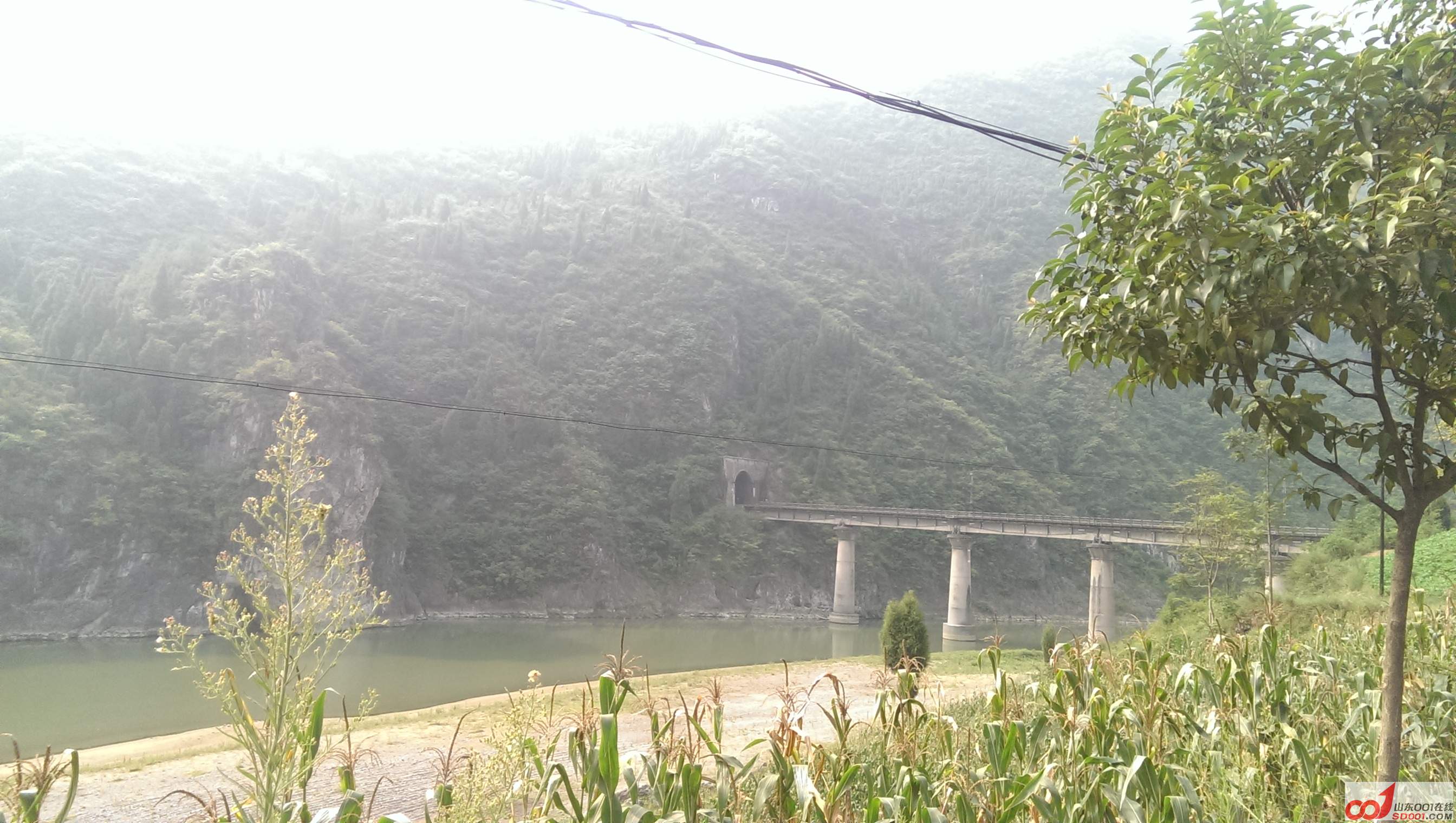 IMAG0670.jpg