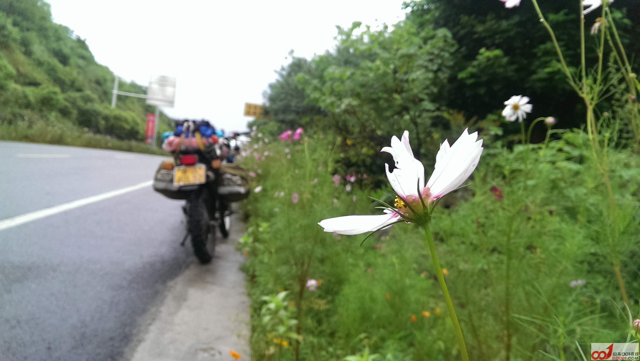 IMAG0701.jpg