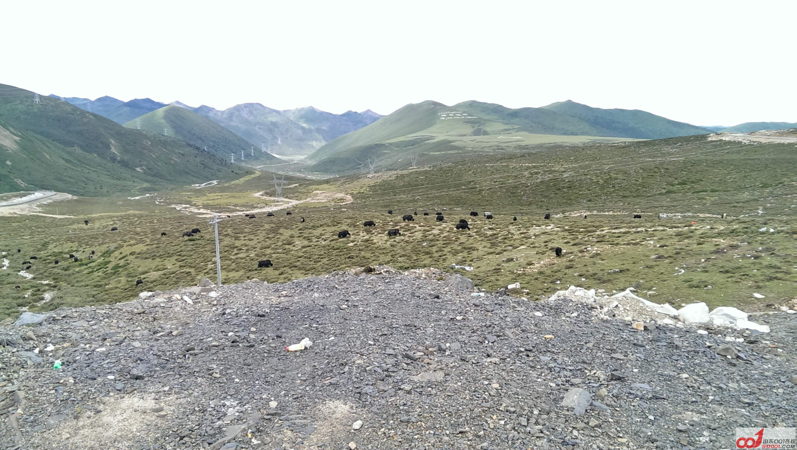 IMAG0816.jpg