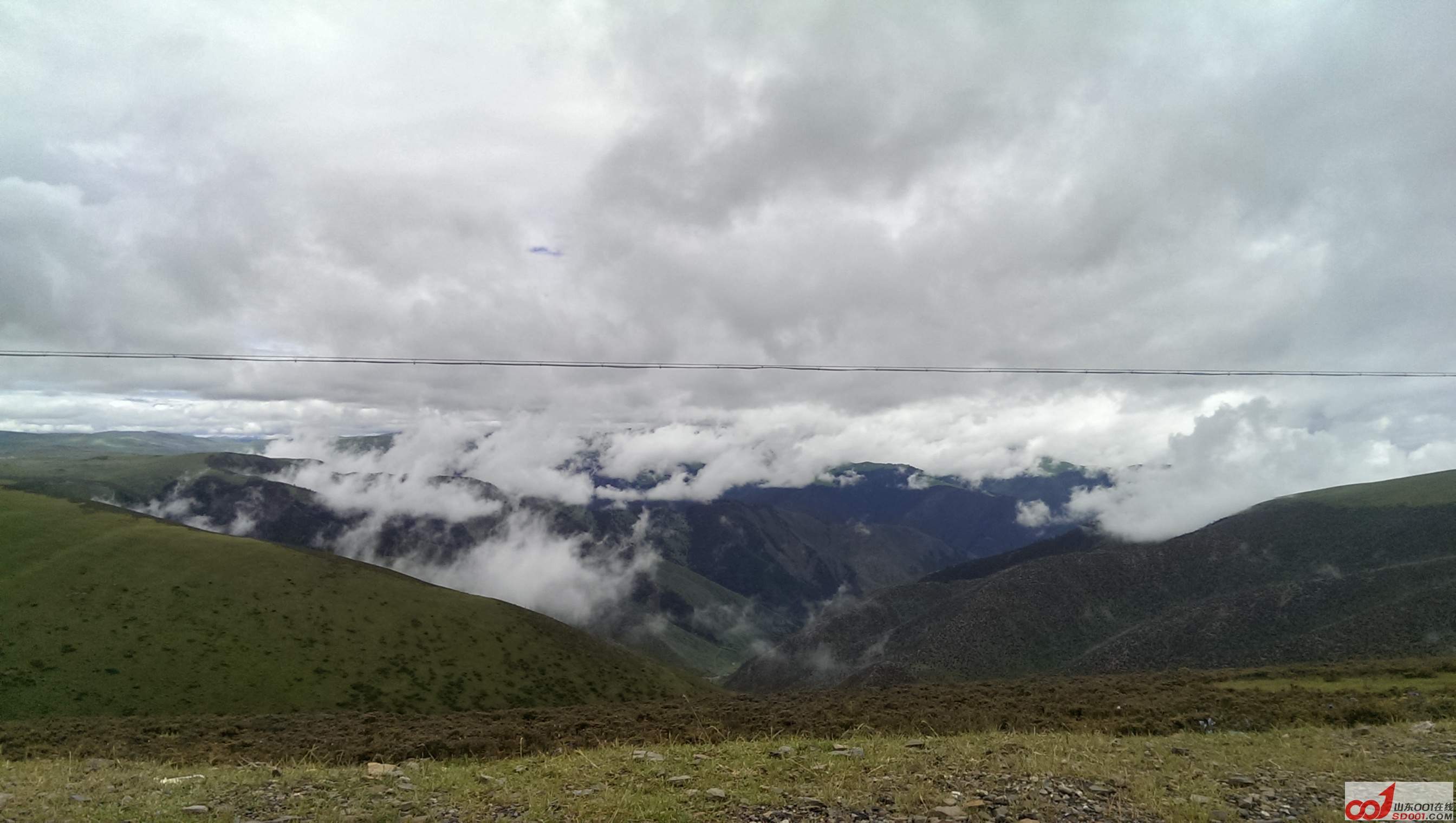 IMAG0837.jpg