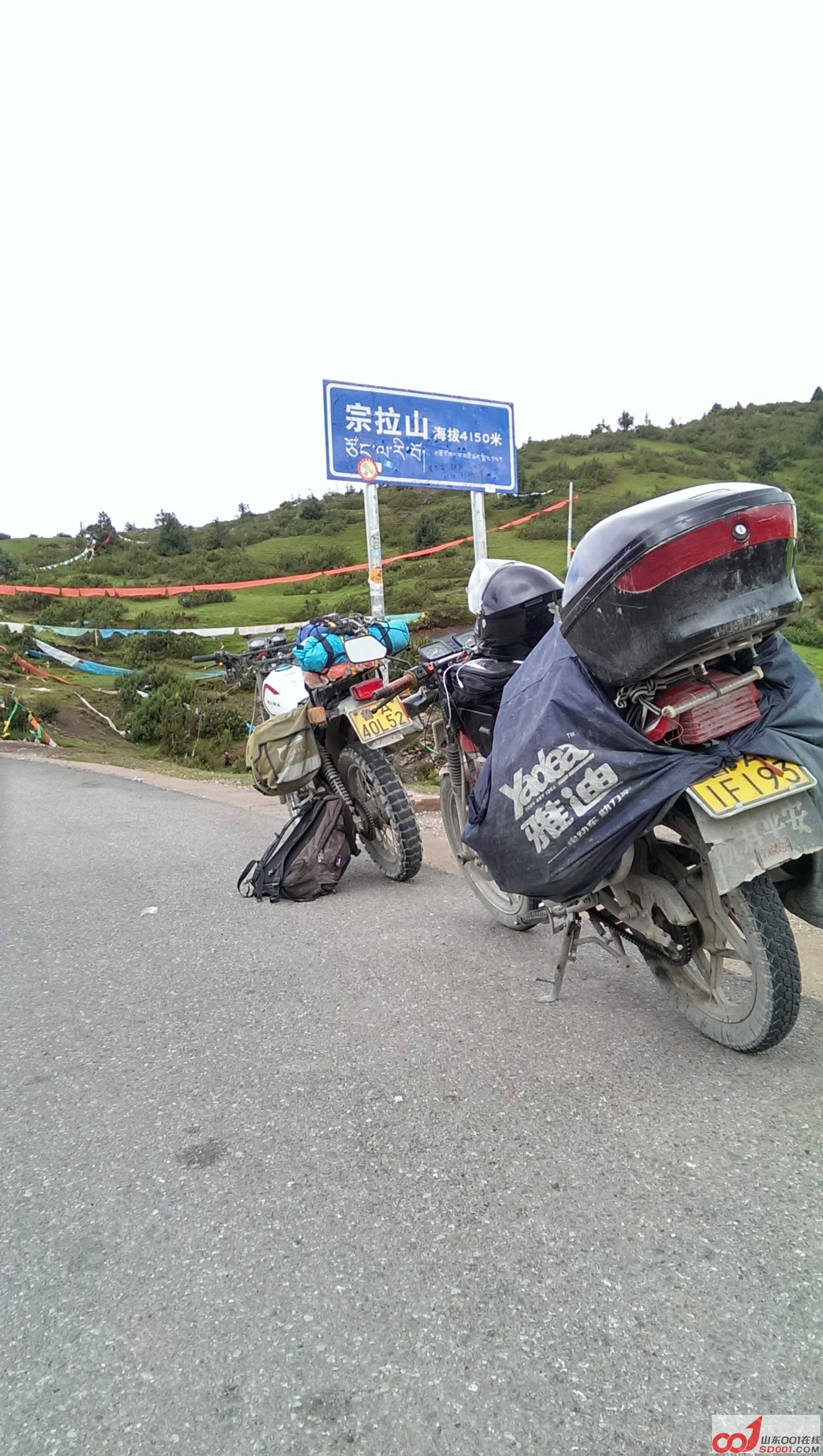 IMAG0868.jpg