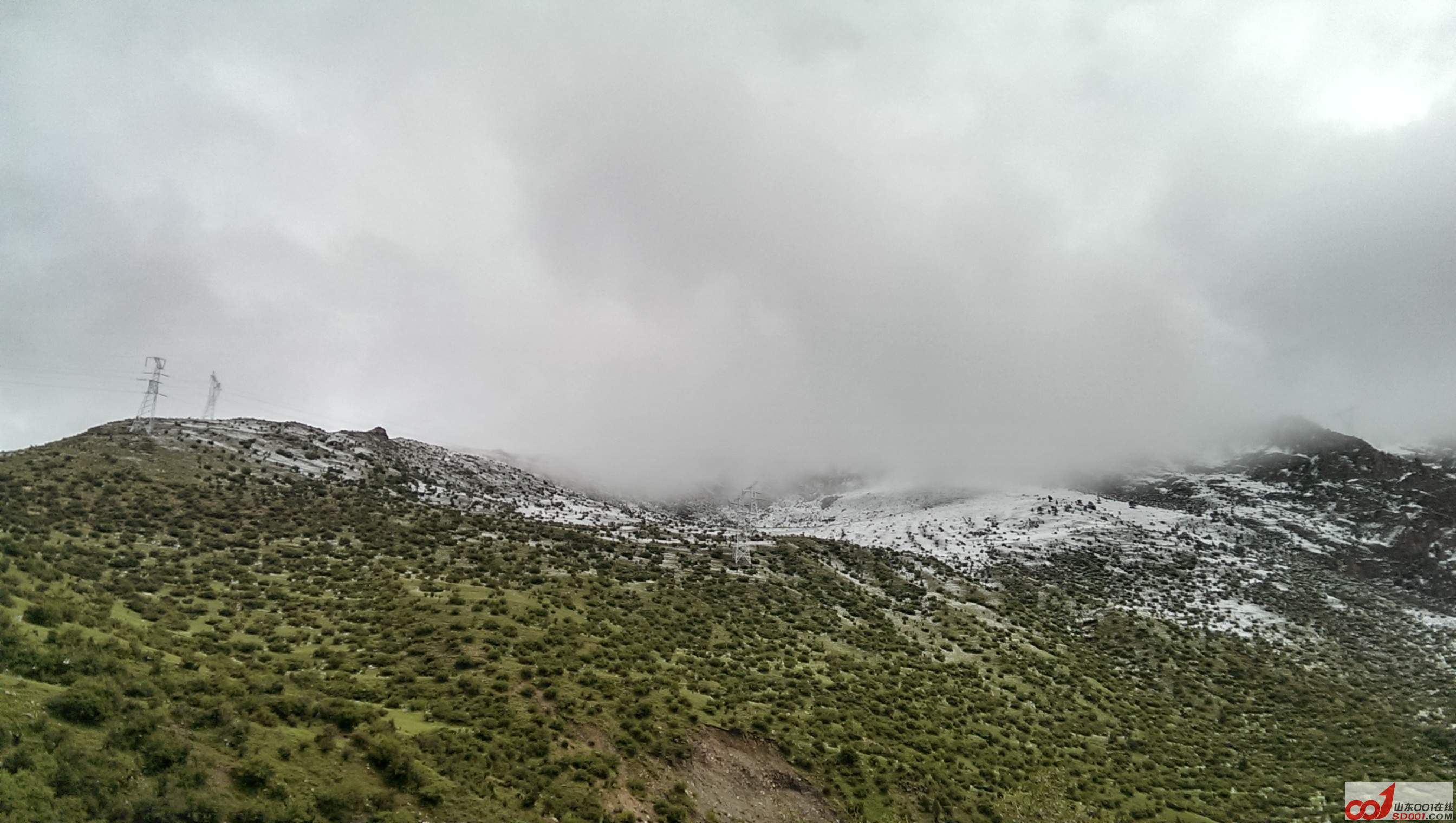 IMAG0980.jpg