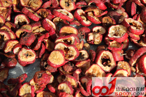 冬天自驾山东一日游 一场远离都市的旅行-济南