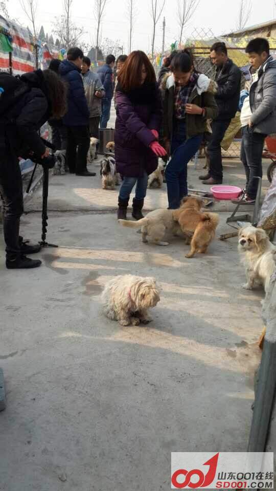 QQ图片20141210004822.jpg