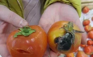 ��¶�����Ĵ��п��˺�Ļ������������ʲô��