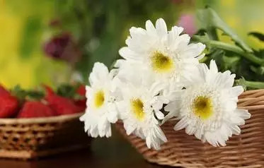 ���������ꣻ���������������������� ����