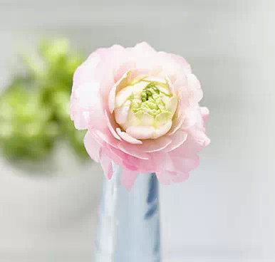 ���������ꣻ���������������������� ����