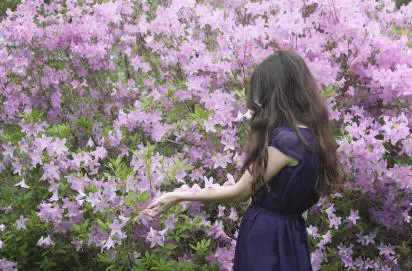 ���������ꣻ���������������������� ����