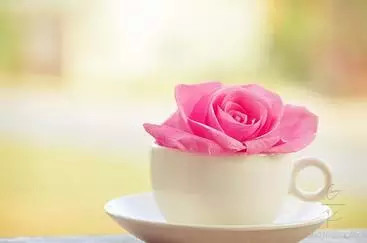 ���������ꣻ���������������������� ����