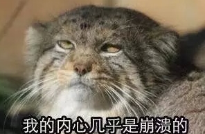 ΢��������ϰ���һ��ʲô�������飡