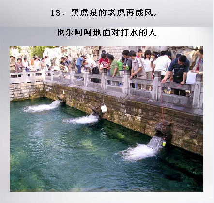 ������ζ����֤�������������ϵ�20���£�