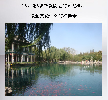 ������ζ����֤�������������ϵ�20���£�