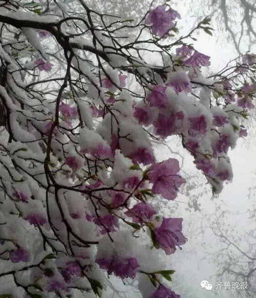 ��������N����������ͬʱ���ݣ�һ���һ���ӵ������������ˡ�