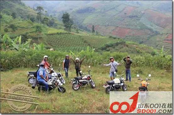 ��������һҳ