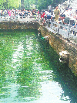 �������ո���ȺȪ�����ʡ� ʱ��8��ڻ�Ȫ�ٴ�ͣ��