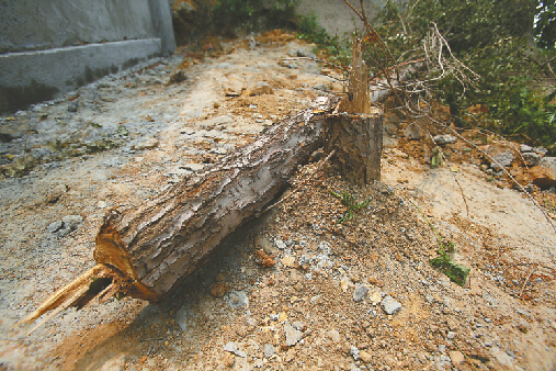 ����ɽׯ���ػ��������˱��������� һ�������ʧ��