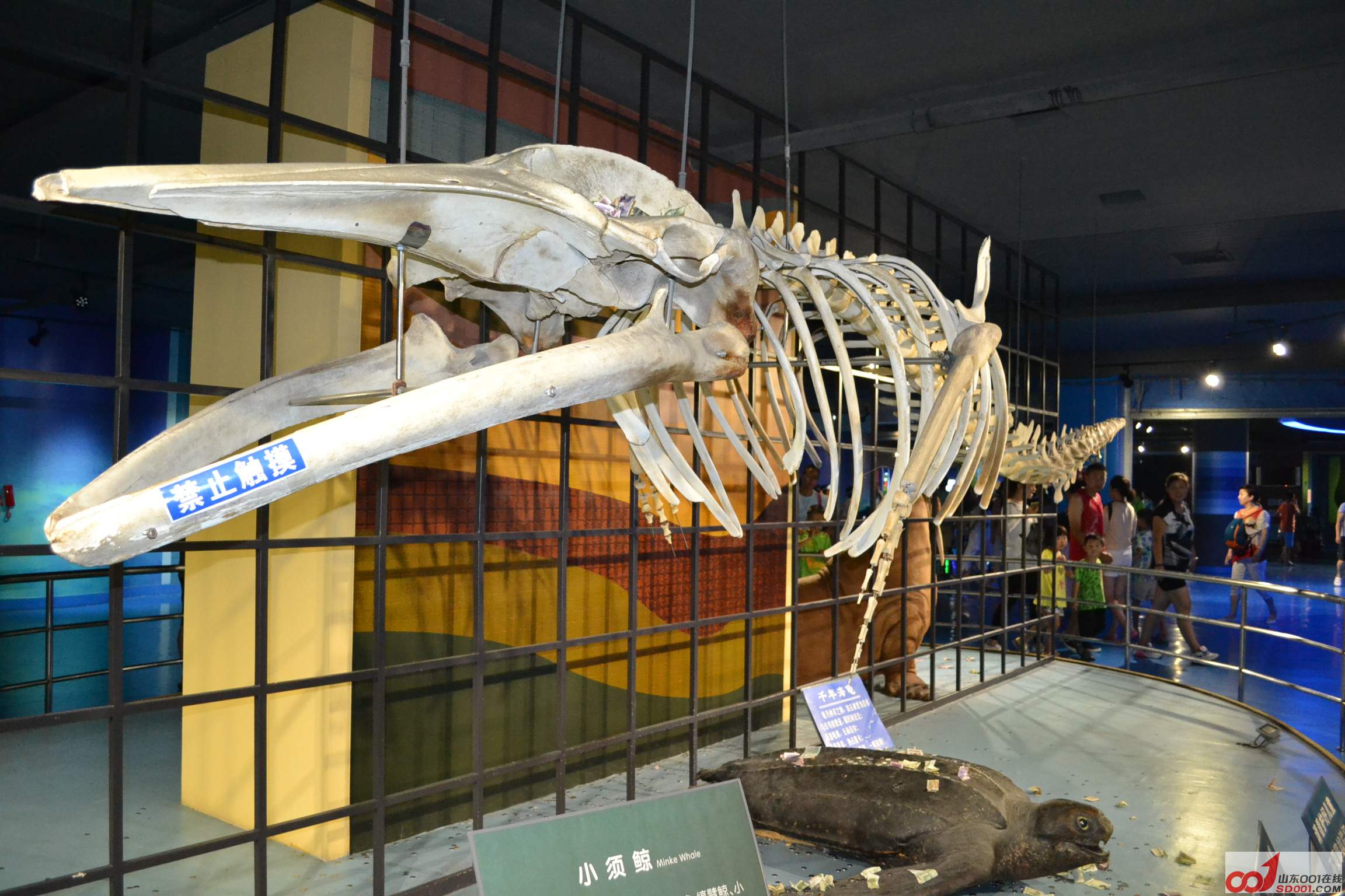 DSC_0092.JPG