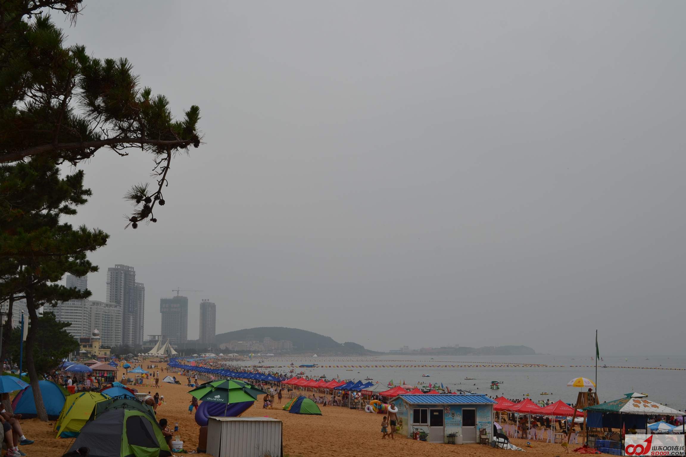 DSC_0289.JPG