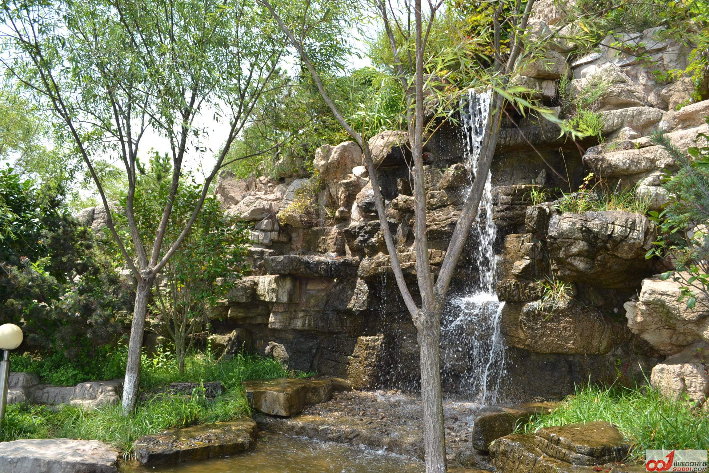 DSC_0611.JPG