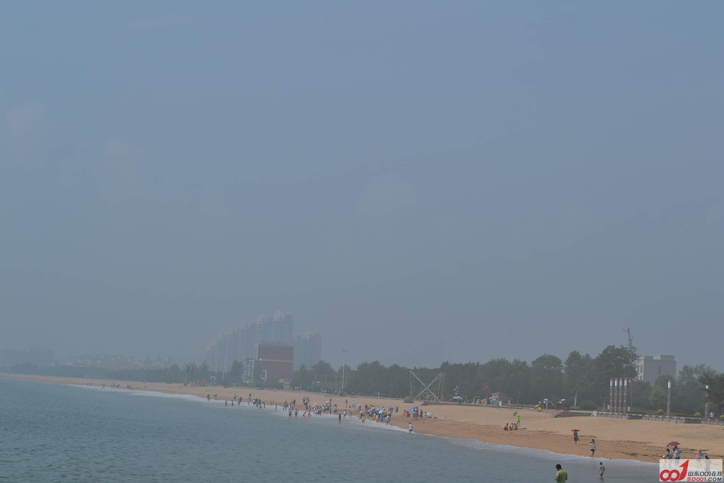 DSC_0719.JPG
