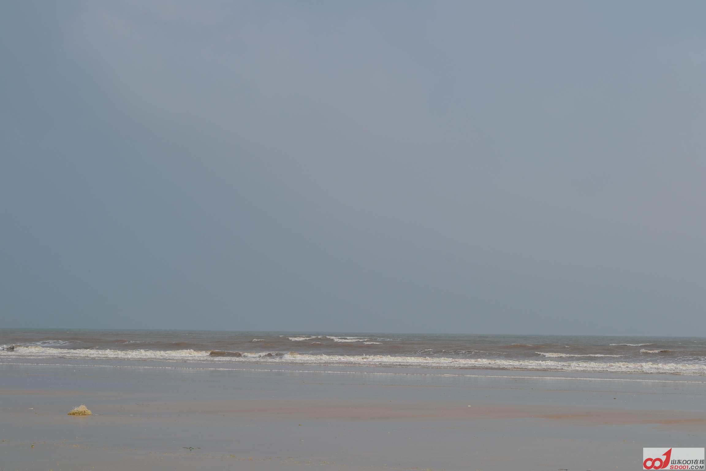 DSC_0731.JPG