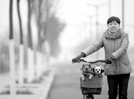 ����Ⱦ3�� ��������ժ�����ơ�