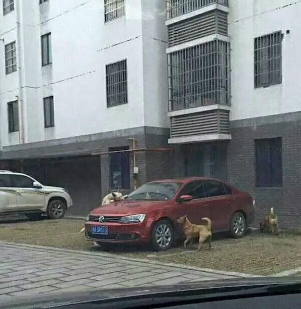 ��Ҫ�۸����˹������ǵı����������صģ� - ˴�� - 103618tcrr3tau0e34otb4.jpg