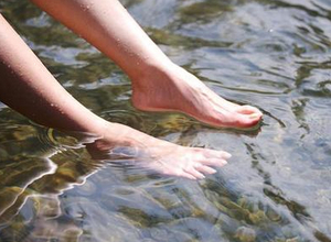 ����ѧ���綬��¶�Ų��ӡ�������