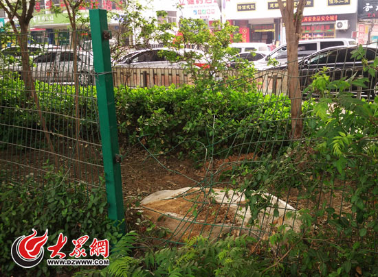 ���ϱ�԰�߼���ƵƵ���ˡ���̽ͷ�� ����20���˱�ײ��