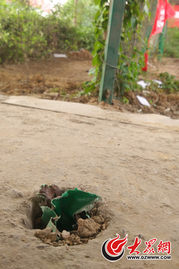 ���ϱ�԰�߼���ƵƵ���ˡ���̽ͷ�� ����20���˱�ײ��