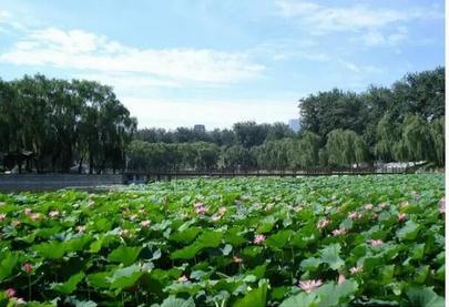 2016�����沩�ᣬ7��14�ջ���ȫ��ũҵչ�����¹�