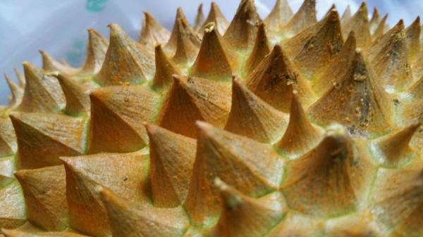 ����ν�ݹ�ҩ�����������Ѵ��ע�� - ˴�� - 1463302816805280mb.jpg