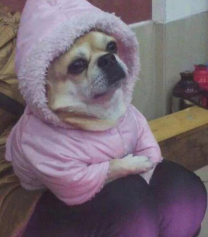 ��Щ�𱬼��ϵĶ��ӣ�Ц���Ҷ����ۣ� - ˴�� - QQ��ͼ20160531163920.jpg