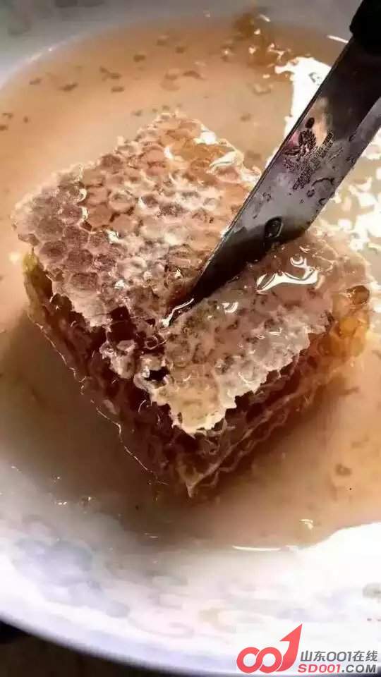 �䳲�ۣ�ÿ����500�˵�650��֮�䣬ÿ���ۼ�70Ԫ